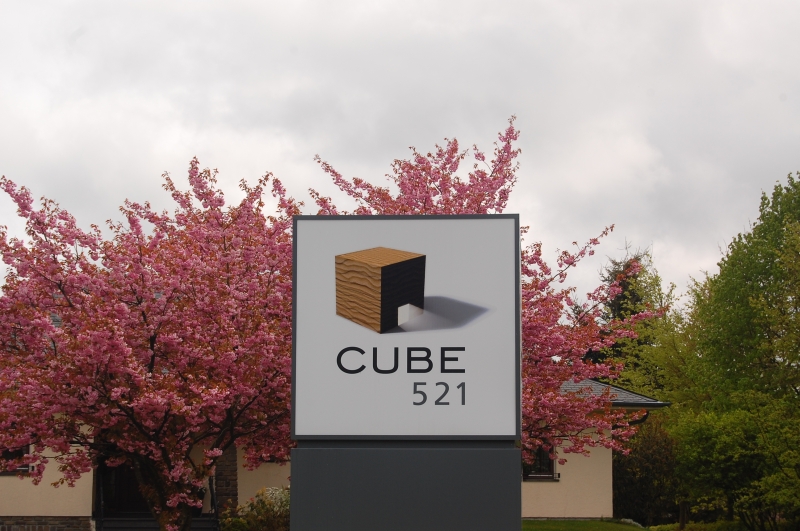 Cube 521