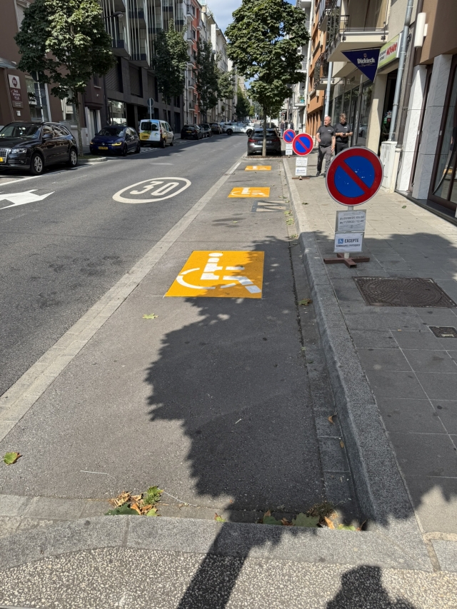 Emplacement de parking PMR